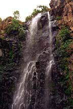 [ A waterfall in the Golan (2) ]