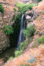 [ Golan waterfall ]