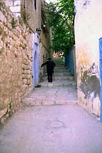 [ Tzfat alleyway and denizen... ]