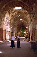 [
Women in the Arab Quarter of Jerusalem ]